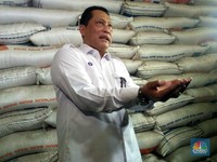 Buwas Buka-bukaan Stok Beras Bulog Mayoritas Produk Impor