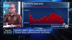 Kehilangan Market Cap Rp 37 T, Begini Analisis Kinerja BRPT