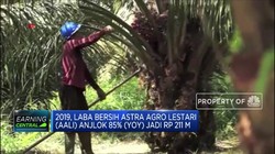 Laba Bersih Astra Agro Lestari Anjlok 85% pada 2019