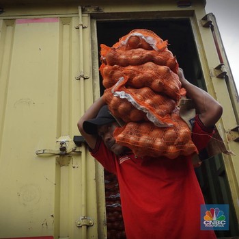 Harga Bawang Bombay Meroket, Tanda-Tanda Apa?
