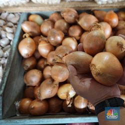 Andai Tak Ada Corona, RI Bisa Catat Deflasi Bukannya Inflasi