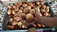 harga bawang bombay per kg