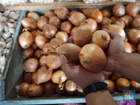 Kendalikan Harga, Kementan Tetap Terapkan Rekomendasi Impor