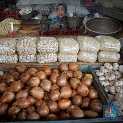 Hati-hati! Ditemukan Bawang Bombay China Berpestisida di Sini
