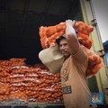 Kementan: RIPH Ribuan Ton Bawang Putih & Bombay Sudah Terbit
