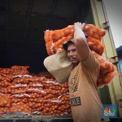 Kebijakan Bebas Impor Bawang Putih dan Bombay Dipertanyakan