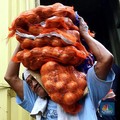Mau Impor Bawang Putih-Bombay Kini Tak Perlu Izin Mendag