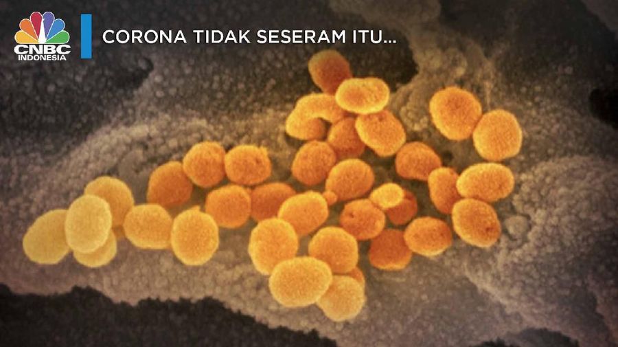 Pasien yang terkena virus corona ternyata masih berpotensi tetap menyimpan virus tersebut dalam sistem pernapasannya selama 37 hari ke depan.