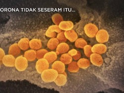 Corona Tidak Seseram Itu...