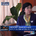 The Fed Pangkas Suku Bunga Karena Corona, Ini Tanggapan BI