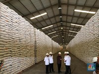 Ada Corona Tak Usah Cemas, Bulog Pastikan Stok Pangan Aman