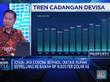 Menakar Posisi Cadev RI di Tengah Gejolak Ekonomi Global