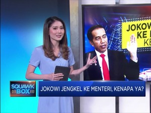 Jokowi Jengkel ke Menteri, Kenapa Ya?