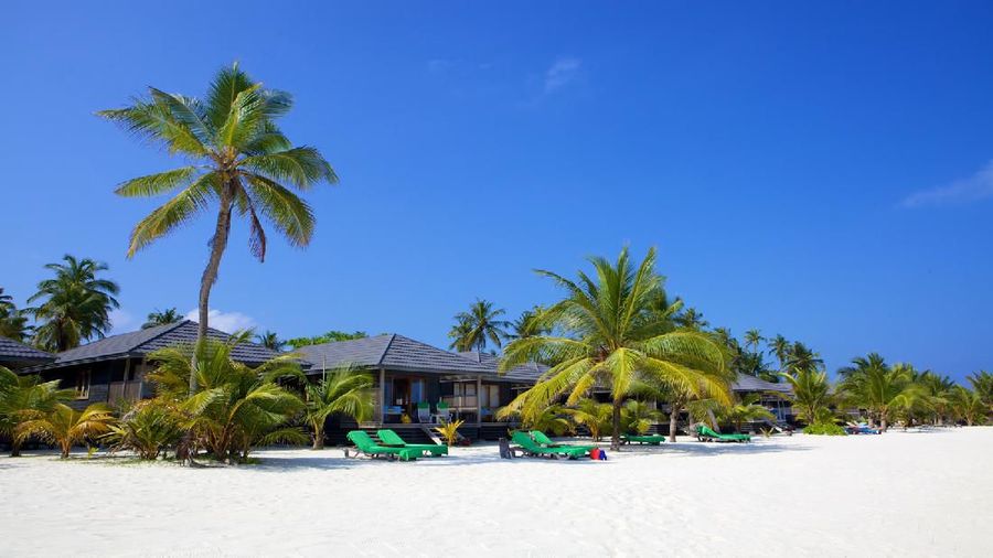 Pembukaan pulau kembali masih menunggu pengumuman pemerintah mengenai ada atau tidaknya pasien positif corona di sana.