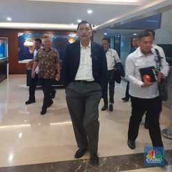 Saat Luhut Bicara 'Harta Karun' Indonesia yang Fantastis Ini