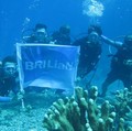 Kumpulkan Rp 1,5 M, Insan BRILian Turun Tangan Perangi Corona