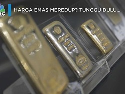 Harga Emas Dunia Mulai Redup? Tunggu Dulu...