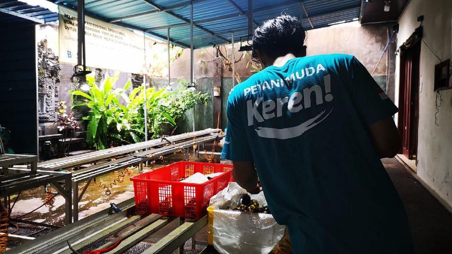 Mentan Syahrul Yasin Limpo punya gerakan tiga kali ekspor (Geratieks), untuk mendorong ekspor dan penciptaan lapangan kerja.