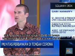 Alasan Fitch Ratings Pertahankan Outlook Negatif Perbankan