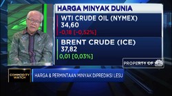 Produsen Jaga Market Share, Perang Harga Minyak Terjadi