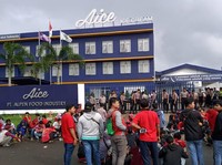 PHK Mogok Kerja Pabrik Es Krim Aice: Ini Update Terbarunya