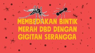 INFOGRAFIS: Beda Bintik Merah DBD dengan Gigitan Serangga
