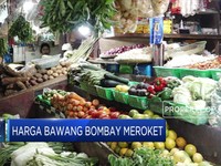 Harga Bawang Bombay Meroket, Pemerintah Izinkan Impor