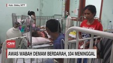 VIDEO: Awas Wabah Demam Berdarah, 104 Meninggal