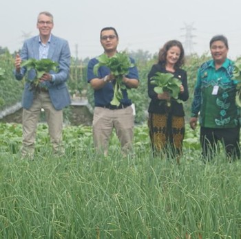 Saat Wamentan Belanda Ikut Panen Sayur di Purwakarta