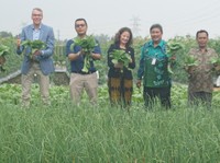 Saat Wamentan Belanda Ikut Panen Sayur di Purwakarta