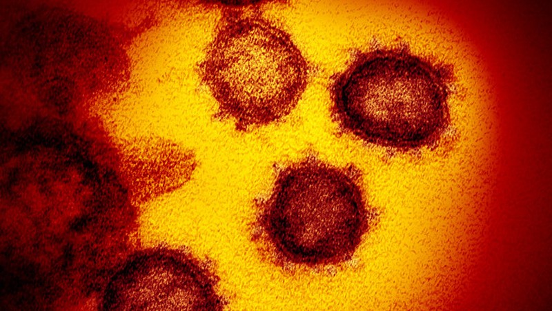 Wuhan Instititure of Virology