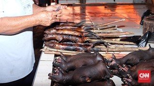 LIPI Kritik Musnahkan Kelelawar di Pasar Solo Cegah Corona