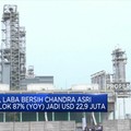 Laba Bersih Chandra Asri Anjlok 87% (YOY) pada 2019
