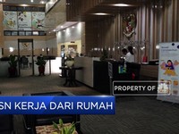 Inilah Pendapat Para PNS Soal Kerja dari Rumah