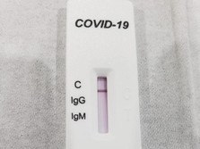 BUMN: Alat Rapid Test Covid-19 Mulai Masuk Hari ini