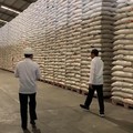 Selain Krisis Covid-19, Krisis Pangan di Depan Mata