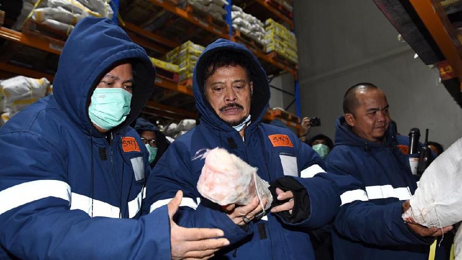 Mentan memastikan stok daging aman.