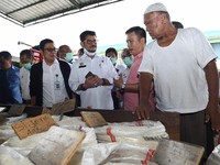 Mentan Realokasi Rp 3,6 T untuk Corona, DPR Minta Evaluasi