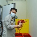 Kementan Pantau Ketat Pasokan Cabai di Tengah Pandemi Corona