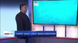 Mari Sehatkan Dompet Lewat Bisnis Hidroponik