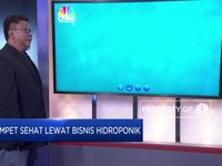 Mari Sehatkan Dompet Lewat Bisnis Hidroponik