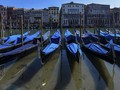 FOTO: Italia Lockdown, Perairan Venesia Kembali Jernih