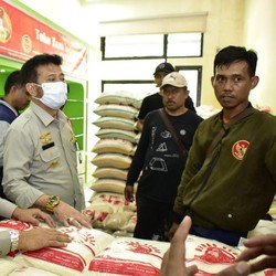 April Mulai Panen Raya, Pemerintah Jamin Stok Pangan Cukup