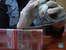 Posisi Spekulatif Dolar AS Jeblok 65%, Tanda Batal Tapering?