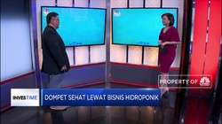 Ini Tips Kembangkan Bisnis Sayuran Hidroponik