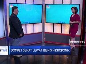 Ini Tips Kembangkan Bisnis Sayuran Hidroponik