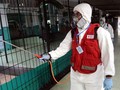 Ahli Beberkan Cara Membuat Disinfektan Alternatif dari Cuka
