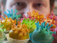 Gagal Pameran, Koki Jerman Ini Buat Kue Bentuk Virus Corona