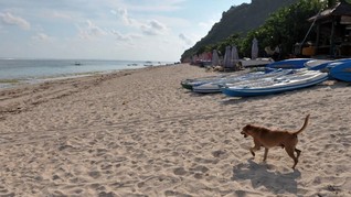 Pantai Pandawa, Bali Zoo, dan GWK Tutup Hingga Akhir Bulan