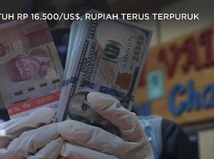 Sentuh Rp 16.500/US$, Rupiah Terus Terpuruk